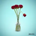 Jante – Du Bist Schuld